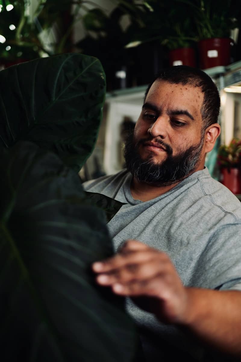A man with a beard touching a large dark green leaf in a nursery