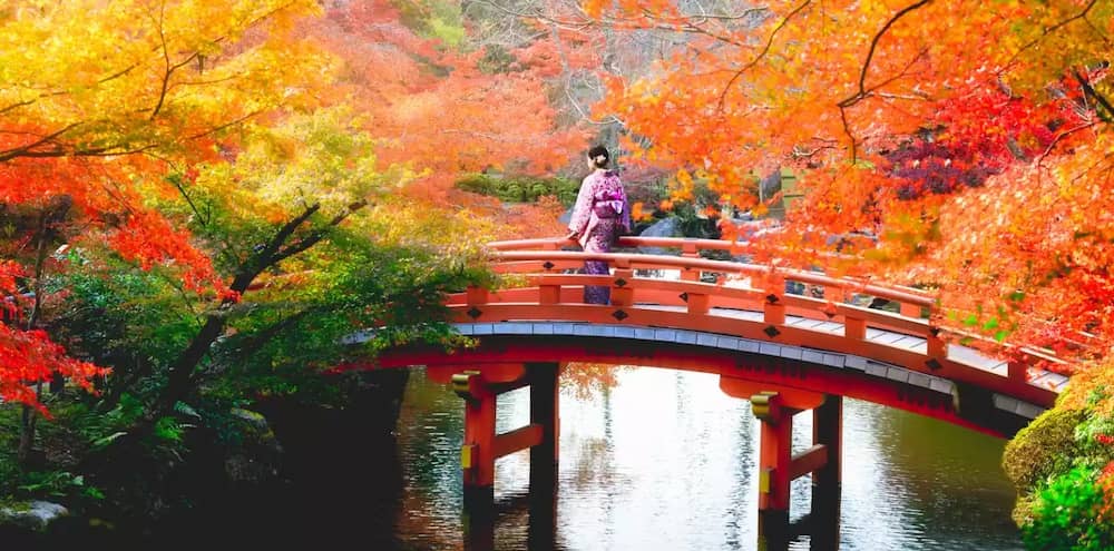 Tokyo fall image with orange leaves on a bridge