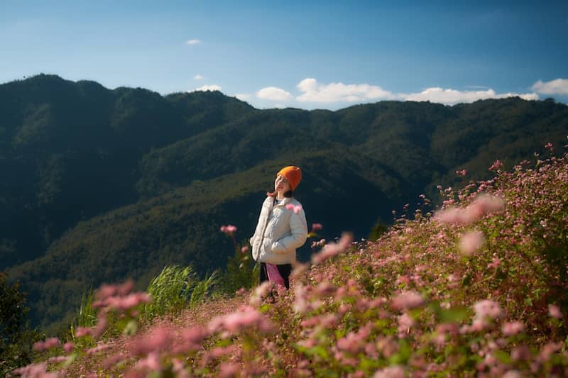 Woman in a field of pink flowers on a mountain