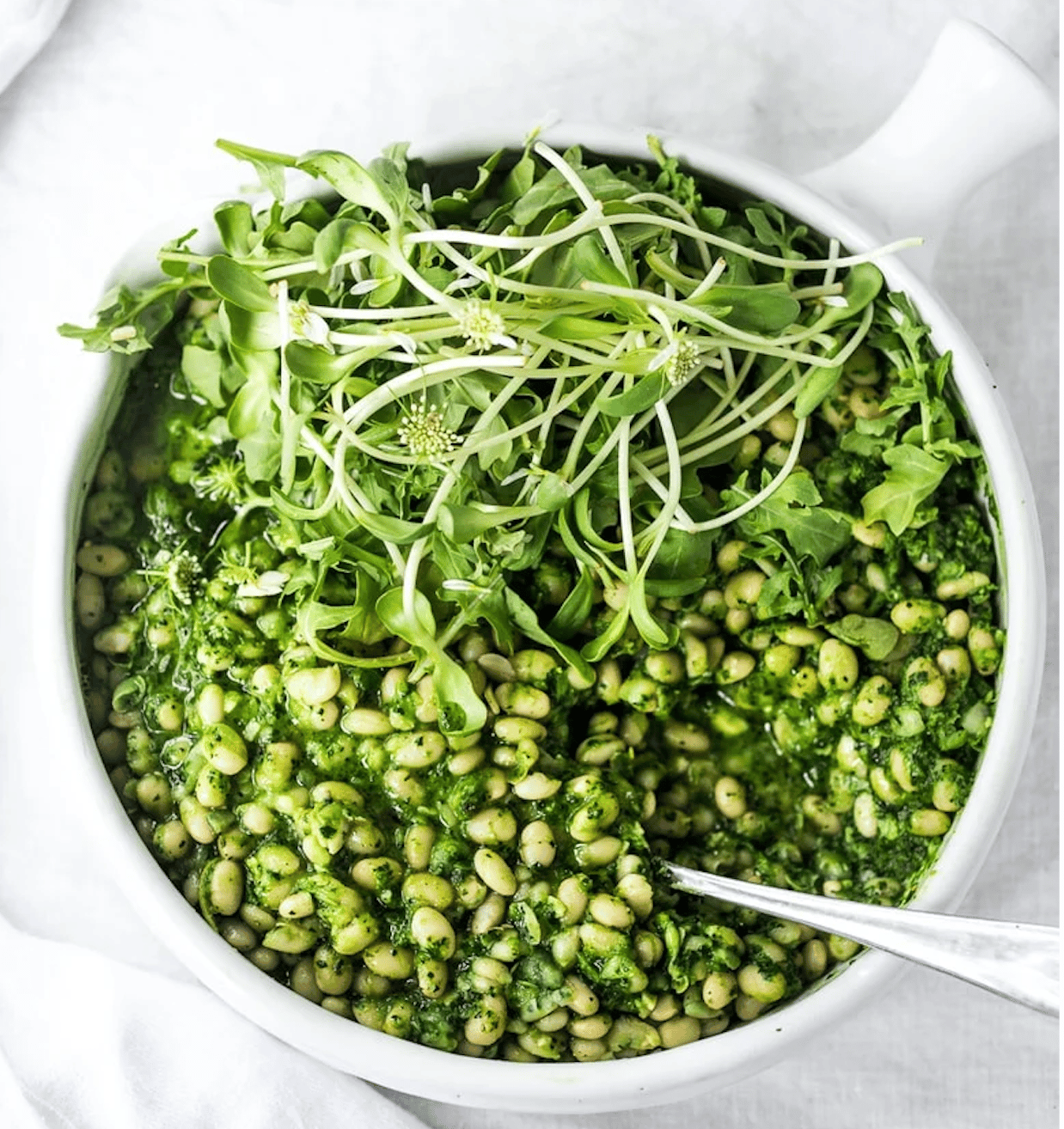 Cassoulet Vert
