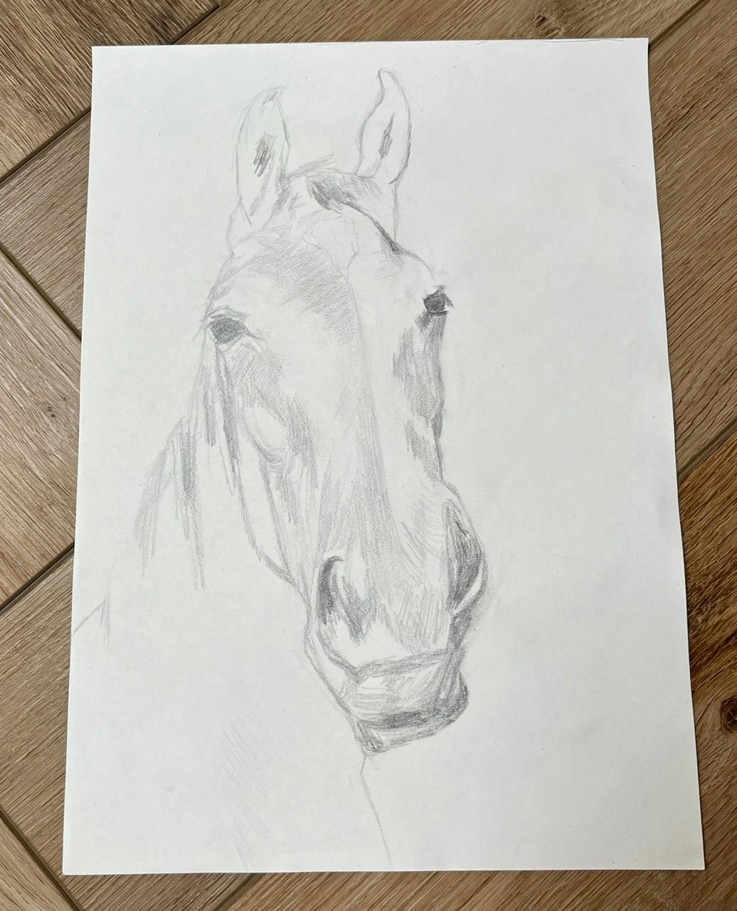 Horse drawing