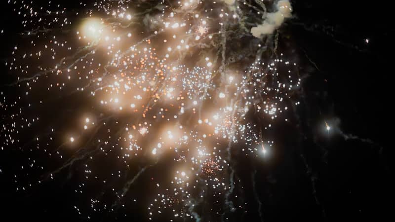 A bunch of fireworks are lit up in the night sky