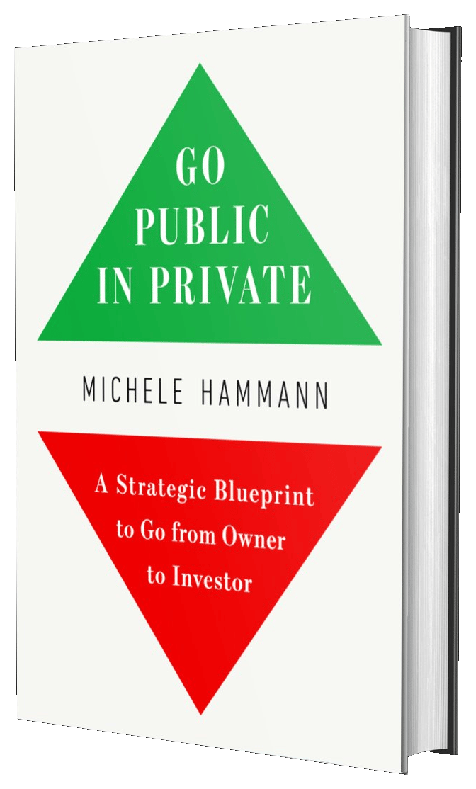 Go Public In Private by Michele Hammann
