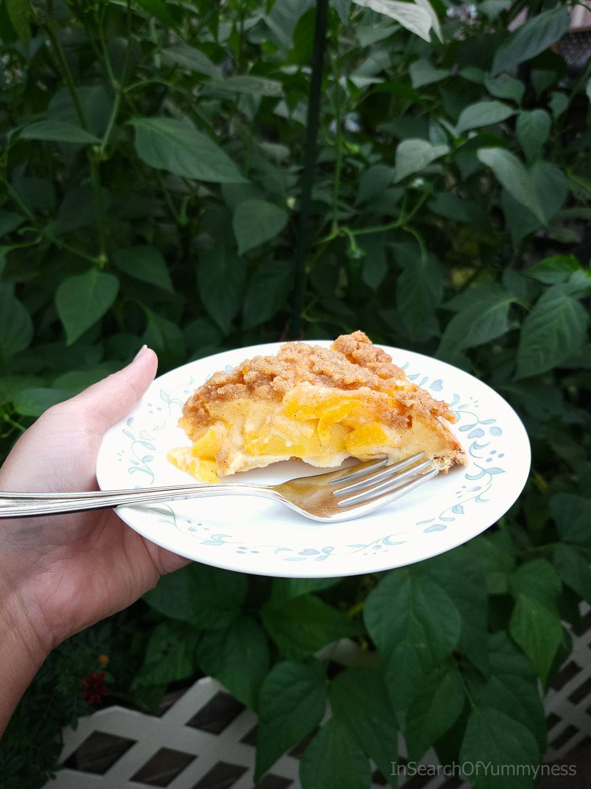 A slice of sour cream peach pie with a streusel topping on a white plate with a large fork. The plate is being held in front of a lush green garden bed.