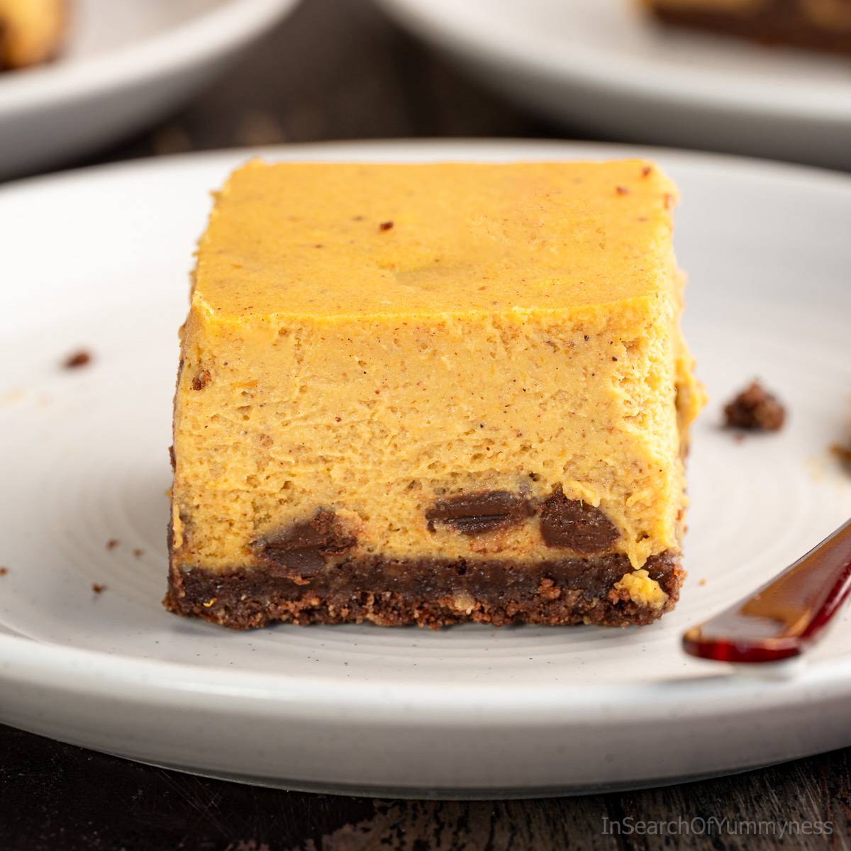 A pumpkin cheesecake bar studded with chocolate chips, with a dark brown chocolate graham crust, on a shallow white plate, on a dark brown table.