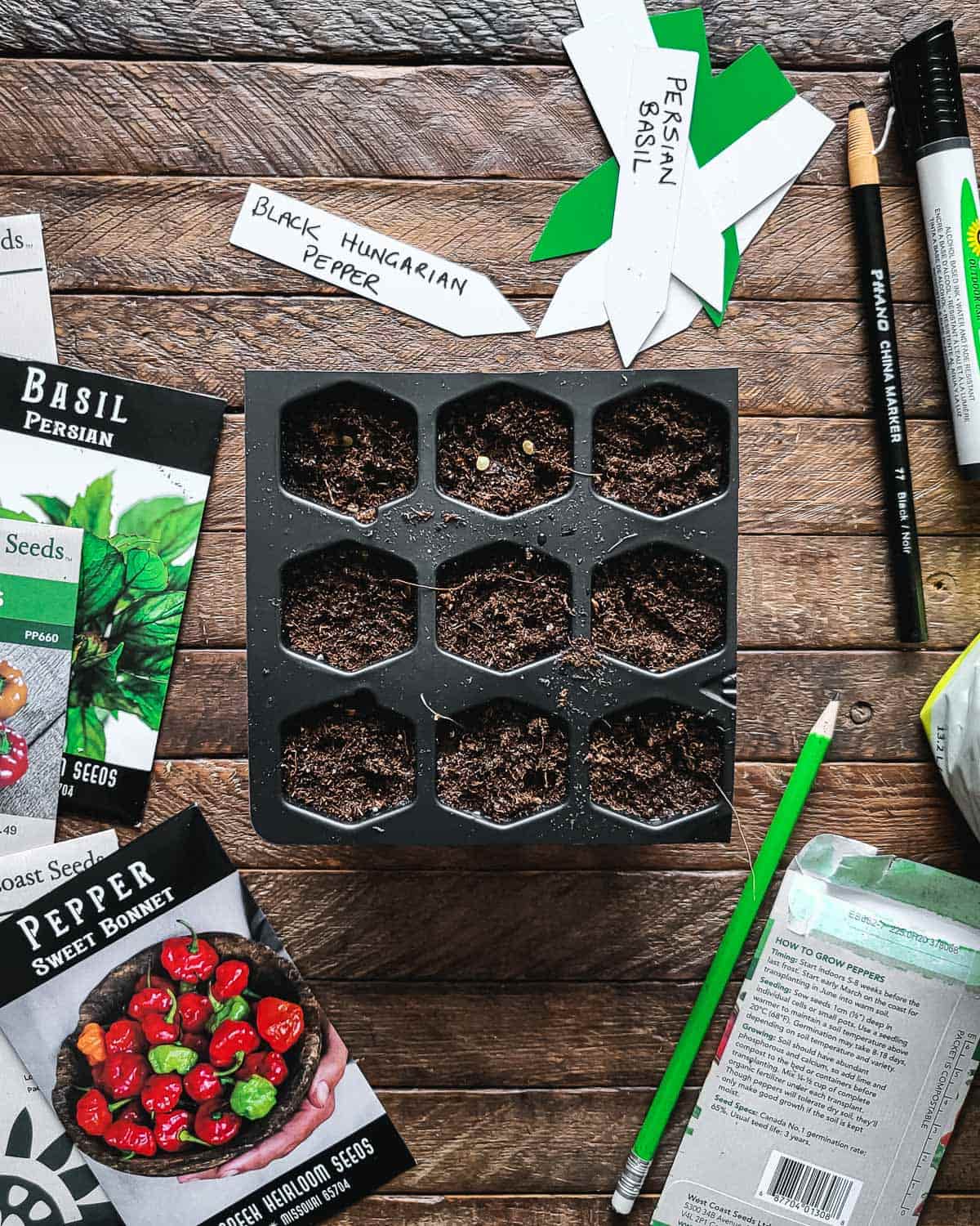 A 9 cell seed starting tray filled with soil, next to seed packets from various companies.