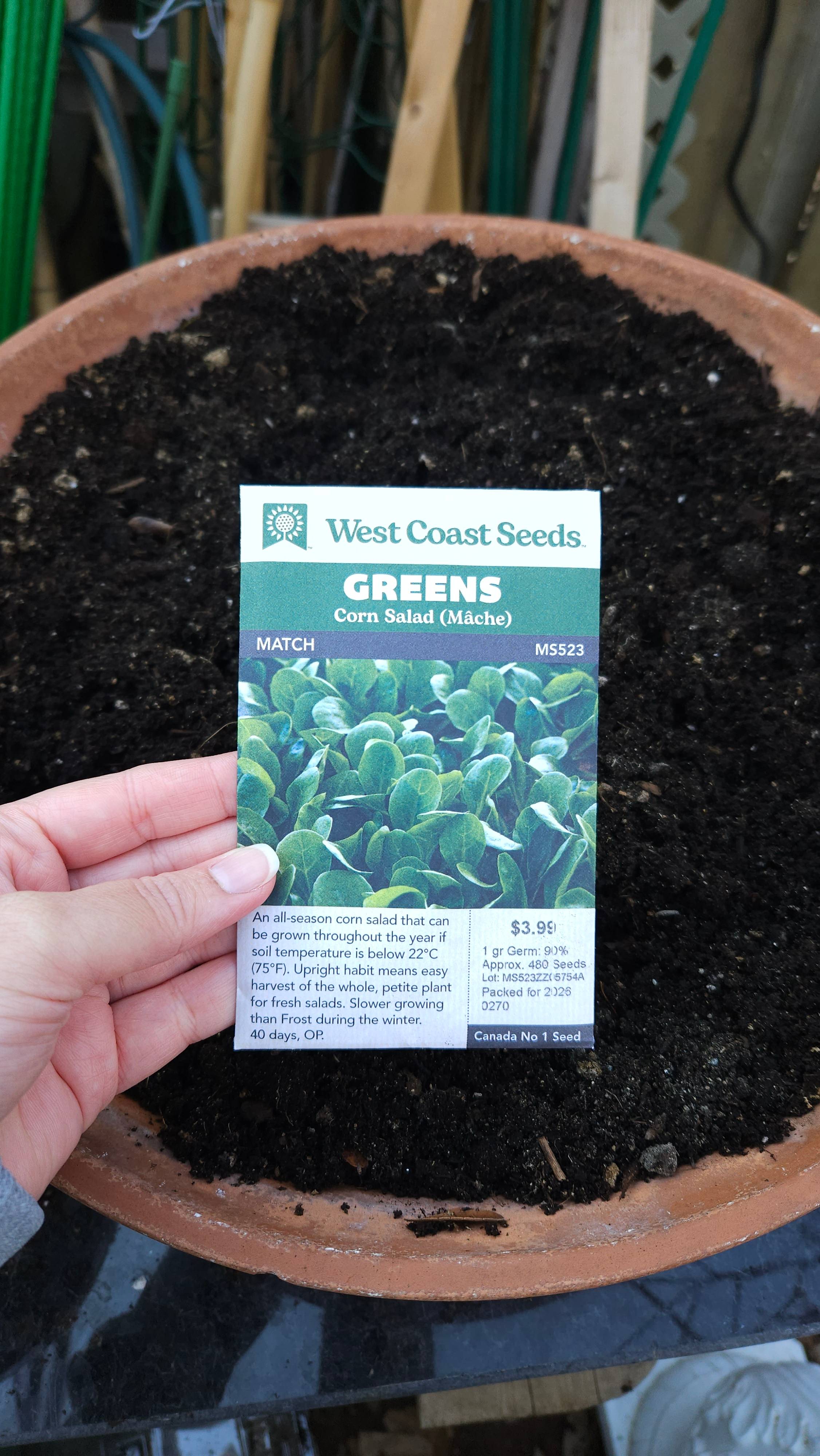 A package of West Coast Seeds Match Corn Salad seeds over a clay planter with soil.