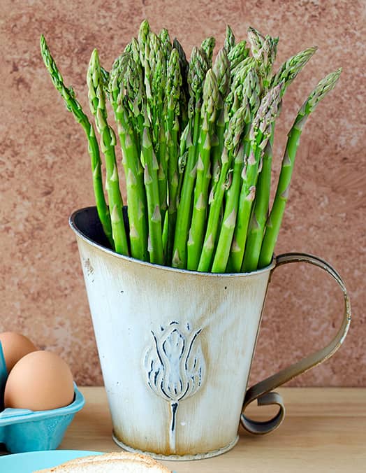 A bunch of fresh asparagus in a metal pitcher.