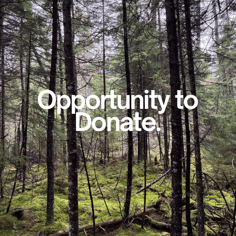 Paying it forward