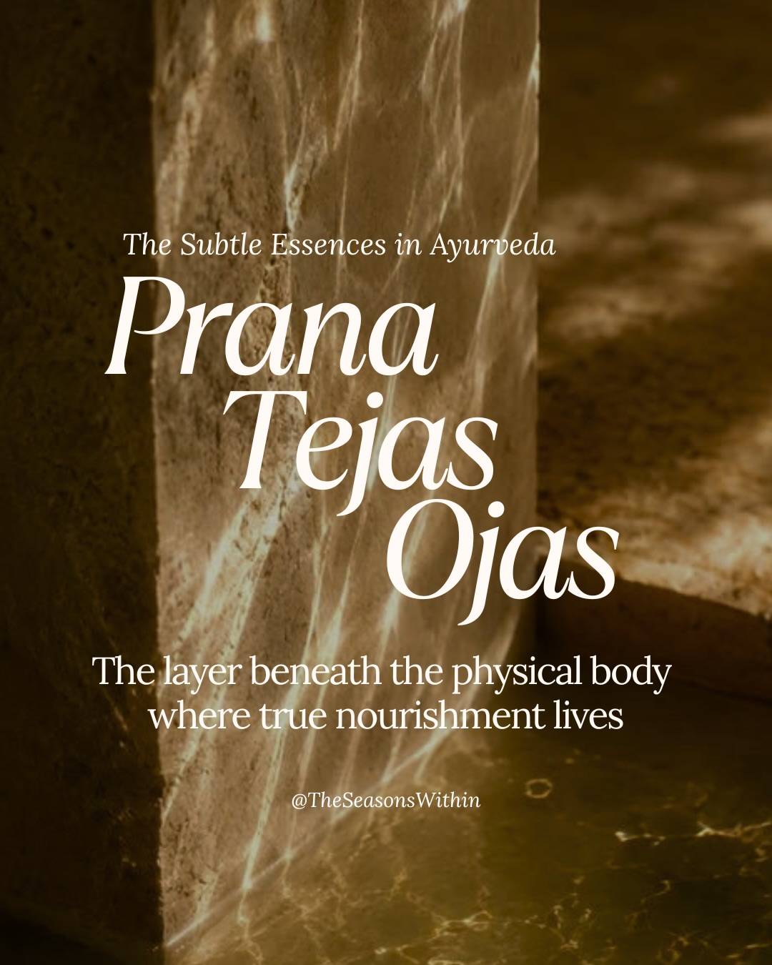 Prana, Tejas and Ojas are the foundation of genuine vitality in Ayurveda. And like any foundation, they require tending. They are nourished by the small, consistent things. 
And they are depleted by the pace most of us are living at, slowly and cumulatively, long before it becomes a symptom 

These essences work with each other : Ojas is the potential, the stamina of the mind and nervous system and it has the capacity to turn into Tejas (heat), which has the capacity to turn into Prana (energy and movement).

Ojas is the ground. Without it, Tejas burns destructively rather than luminously, and Prana scatters rather than flows.
This is why we always tend to Ojas first. It is the foundation from which everything else grows.
And it is worth knowing: positive thinking, honest emotion, and a life lived with genuine care strengthens all three simultaneously! Just as negative thinking, chronic stress, and a pace that never replenishes depletes all three at once. 

Over the next few days I’ll be sharing what depletes each essence, what rebuilds it and some simple, practical ways to start caring for these subtle layers of your health and wellbeing, in your everyday life.

Follow along and save this post so you don’t miss it ✨

#theseasonswithin #āyurveda #tejas #ojas #subtlebody