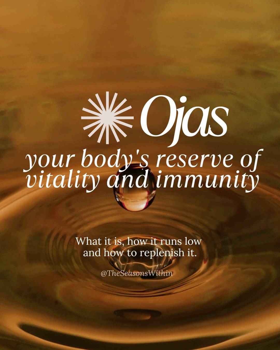 You know how two people can be in the same room, exposed to the same bug going around, and one gets sick while the other doesn’t seem to catch anything?

Well, they might have a strong Ojas.

And nor just immunity in the narrow sense but the underlying resilience of your whole system : digestion, nervous system, hormones, all of it, working together to hold against illness. 
When that reserve is strong, disturbances meet resistance and can’t get through. When it’s thin, the same disturbance does get through.

There’s an image I quite like : Ojas is like ghee. 
Milk has to go through a whole process, heated, churned, transformed, before it becomes something this rich and nourishing golden substance. 
Ojas is made the same way, the end product of everything your body properly digests and metabolises, on a physical and mental level. 

Which is maybe why winter hits some of us harder than the cold and dark alone would explain. If the process that makes Ojas has been rushed or skipped for months, there’s simply less of that rich reserve to draw on once required !

~ If any of this feels familiar and you want a clearer picture of what your own Ojas needs right now, my DMs are open ✨ 
_ 

#theseasonswithin #immunitysupport #āyurveda #ayurvedicliving #energyrestoration