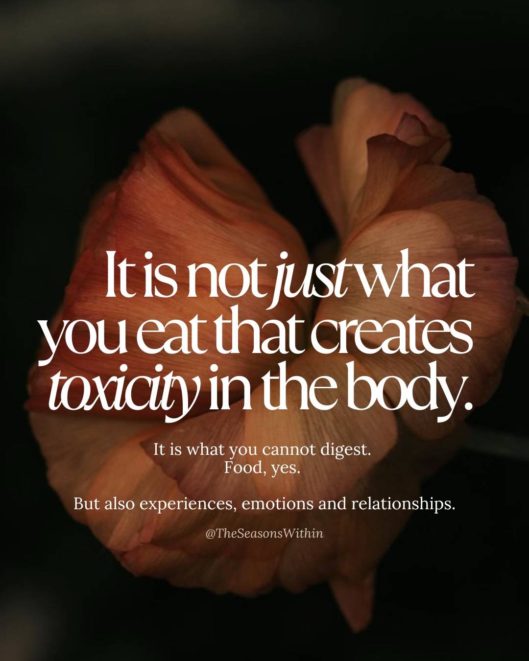 I genuinely believe, without any reservation, that what we eat is medicine. That the kitchen is one of the most important places we have. That the daily choice to nourish yourself with real, warm, thoughtfully prepared food is one of the most radical and loving things you can do for your health and wellbeing.

And I have also sat with enough people, including myself!, over the years to know that food alone, however good, is never the whole picture. 
Because what we eat is only half of the equation. The other half is what we can actually digest. 
And digestion is not a purely physical process. 

This is why the work I do with people is never only about food, even though food is always part of it, and one of the most important aspect, often a starting point.
But it is also about building the conditions in which genuine digestion is possible. 

So when I talk about nourishment in my practice, I mean all of it. 
The whole of your experience. Physically, emotionally, relationally, spiritually. Creating enough warmth, enough safety, enough ease in the body and in life, for what is taken in to be truly received.

#theseasonswithin #āyurveda #ayurvediclifestyle #holism #holistichealthcare
