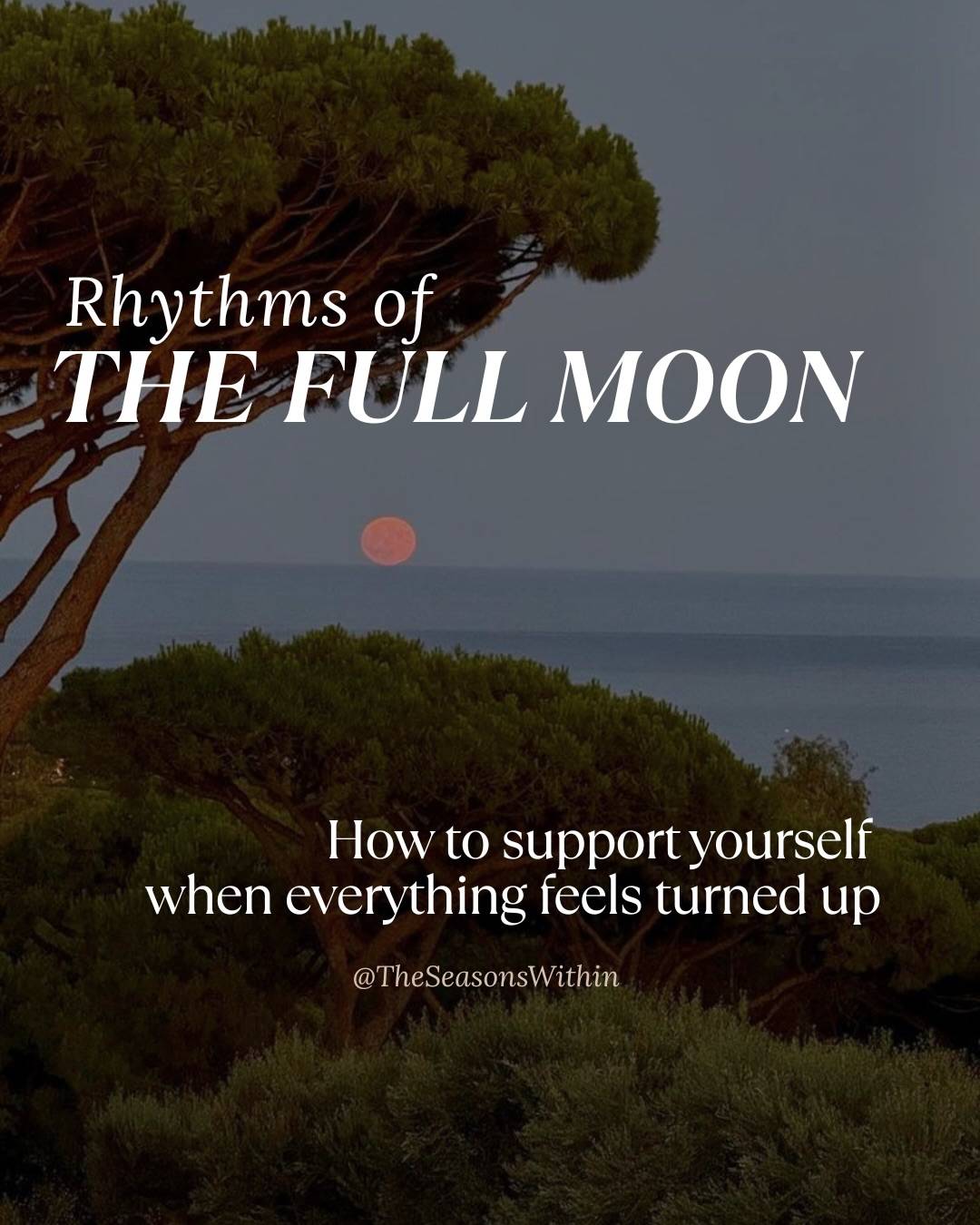 Save this for every full moon 🌕

If you’ve been feeling it in your body today the restlessness, the heightened emotions, the sleep, the absolutely crazy sleep full of weird dreams lol, you’re not alone in this.
The full moon amplifies everything.

Swipe for some tips on how to support yourself tonight (and every full moon moments).

And if you want something to actually lie down and receive tonight, I recorded a full moon meditation just for this moment. 15mins of rest, available on my website 🤍

How is the full moon landing in your body tonight? Tell me below 🫶🏽