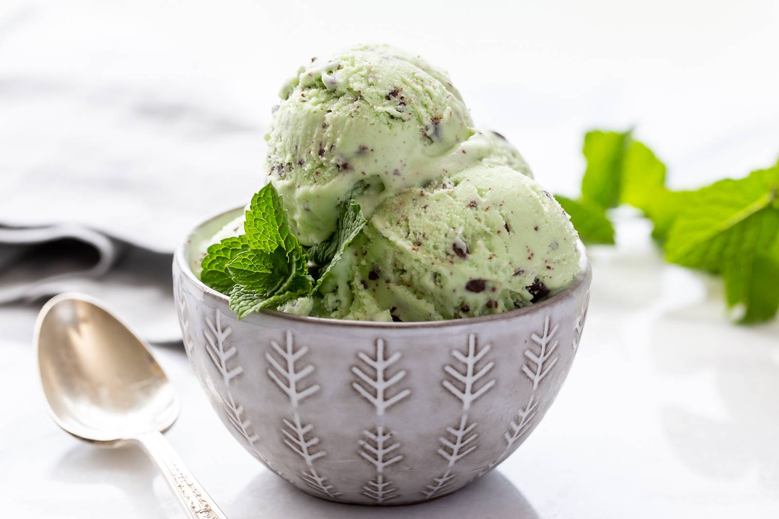 Mint Chocolate Chip Ice Cream