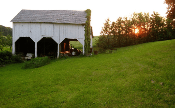 Meet Farmers Reuben and Tessa at Willow Haven Farm 2
