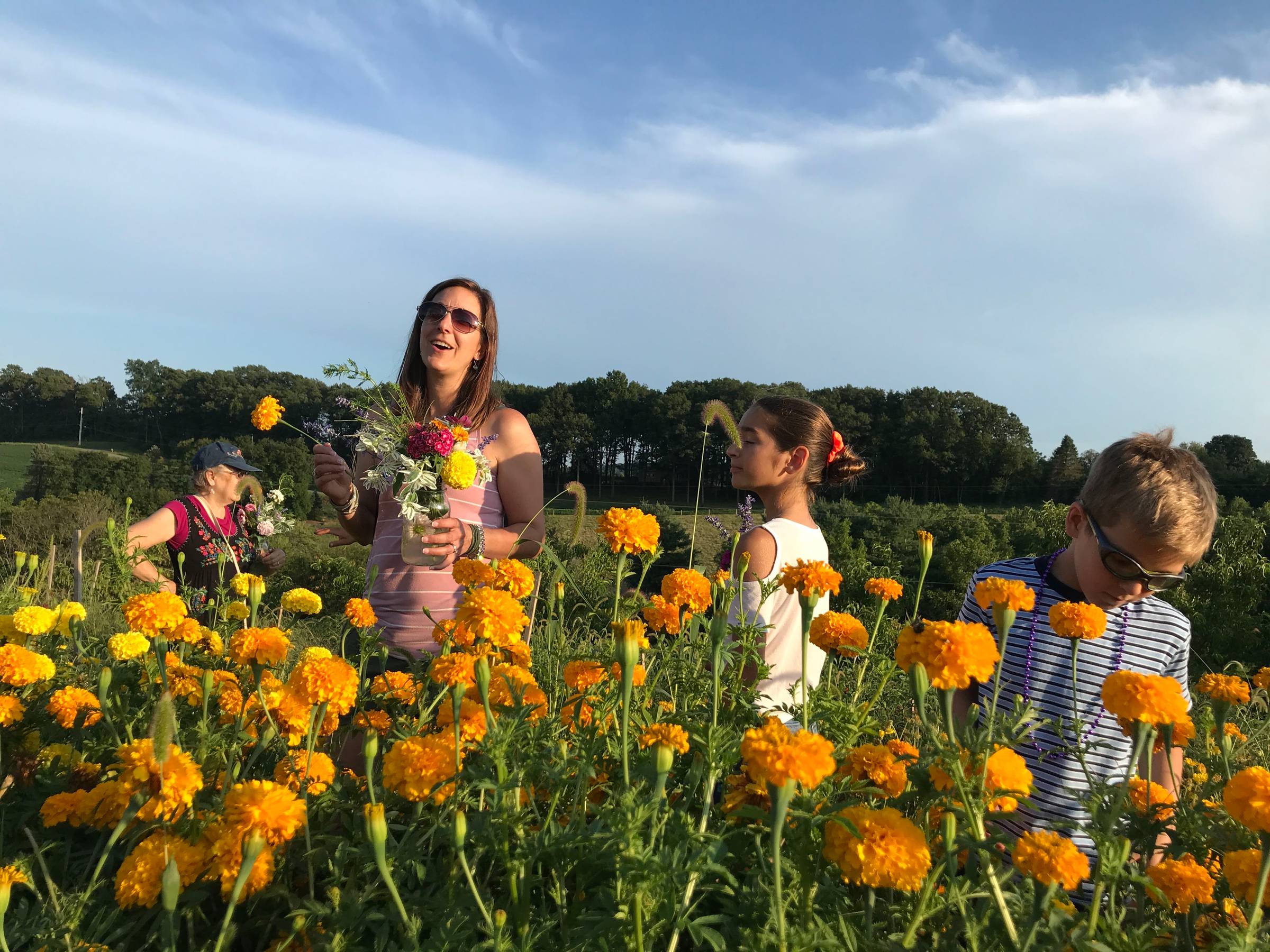 magic moments on the farm 