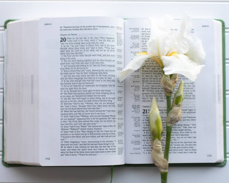 an open Bible with an Easter Lily on top of it