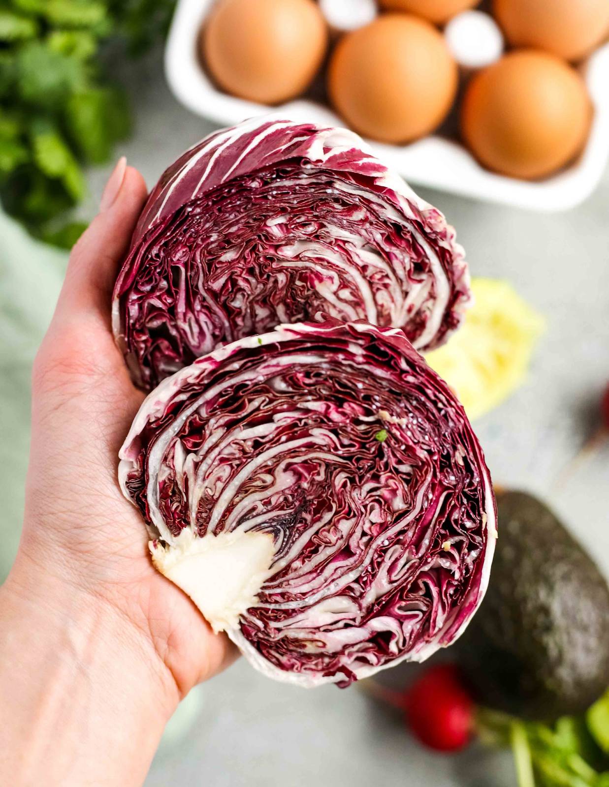 Red Cabbage