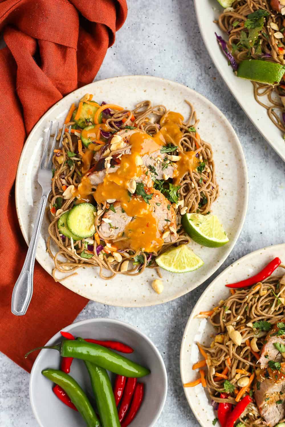 Soba Noodle Salad with Pork and Peanut Sauce