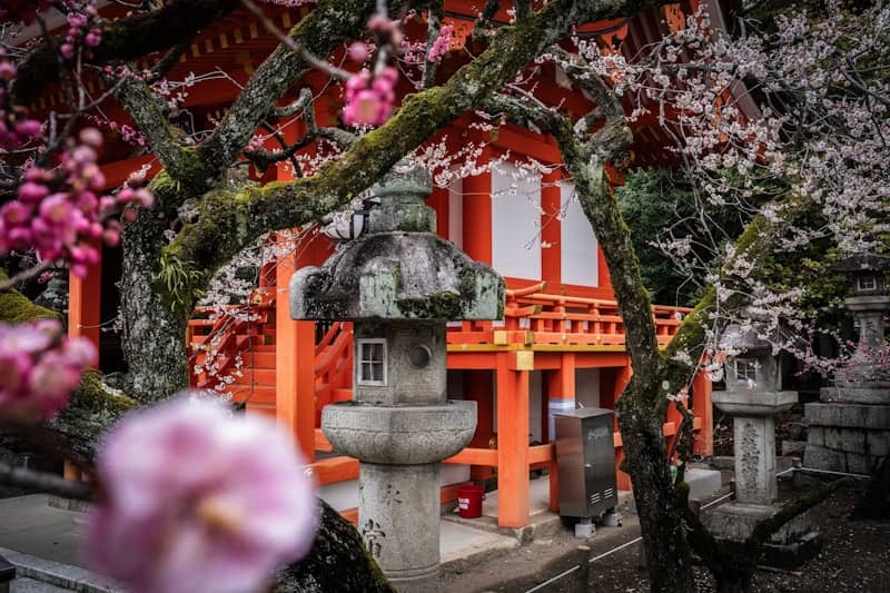Japanese temple with blossoming flowers.