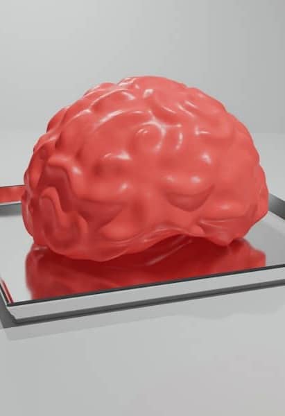 A red brain sitting on top of a metal tray