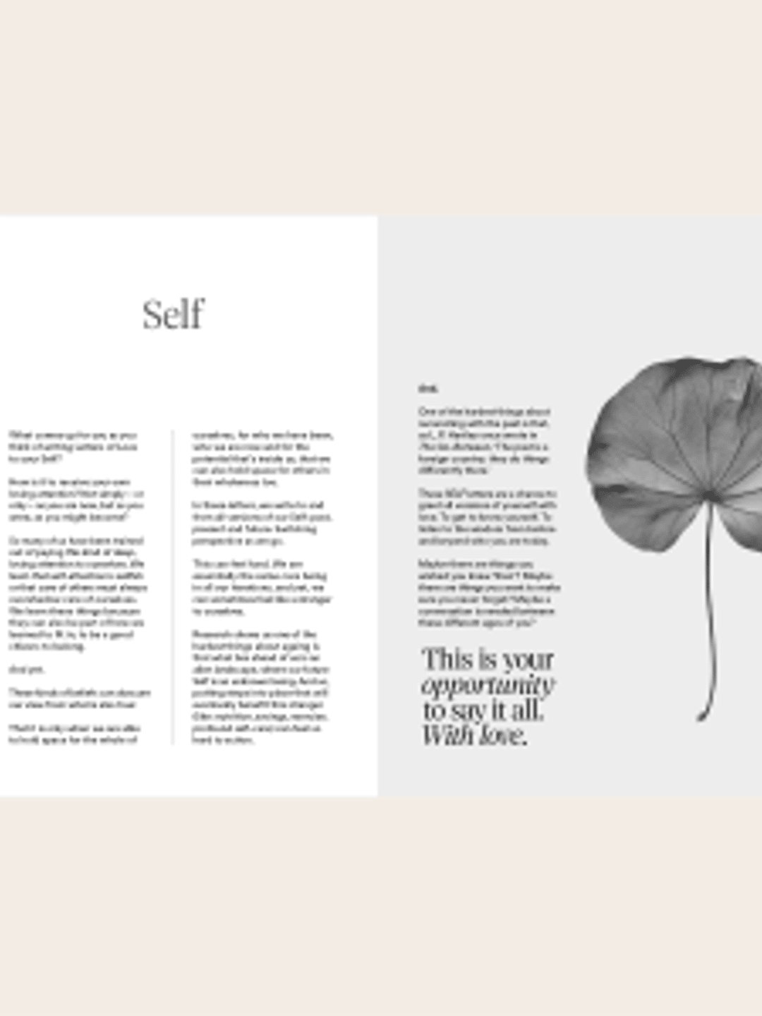 Double page spread from book, explaining why writing letters to your Self is a powerful practice of self-care