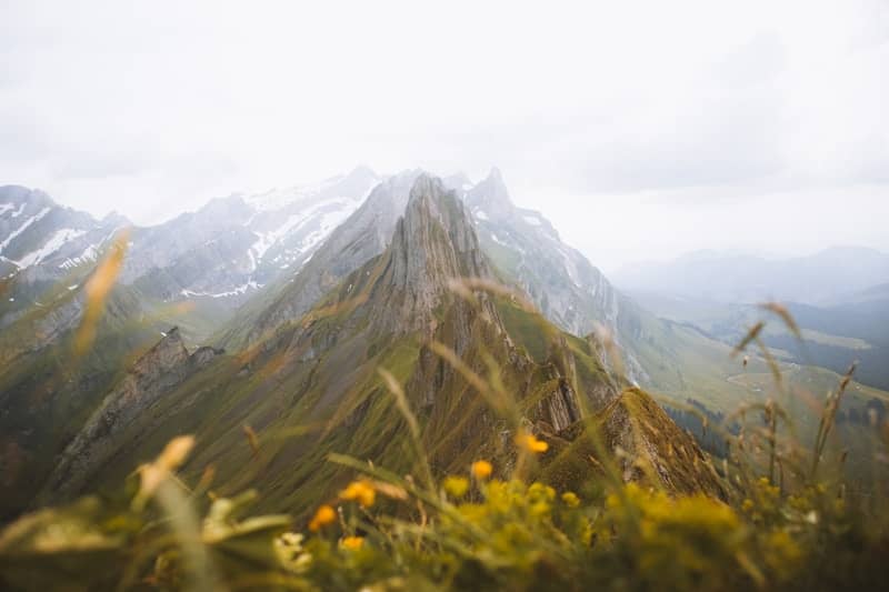 A view of a mountain range from a grassy field