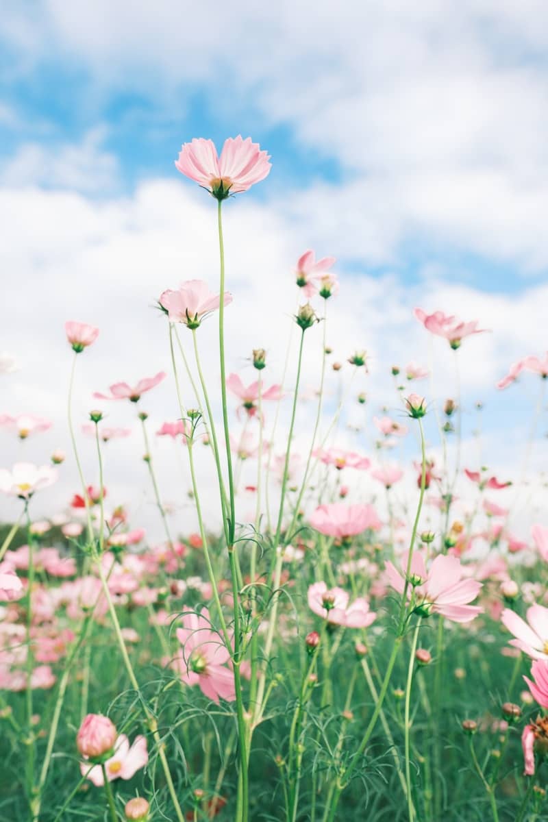 And ps spring equinox is in a week!!! 