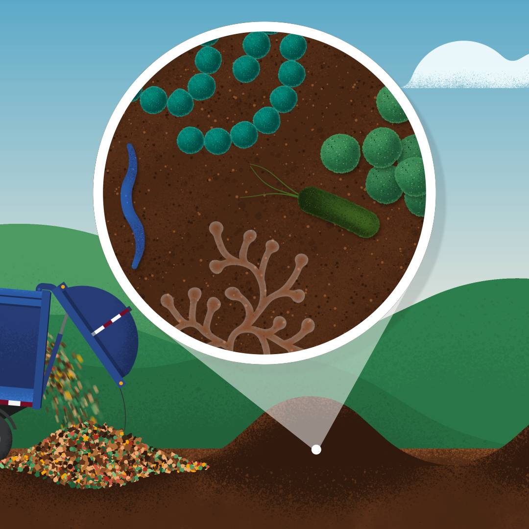 New Explanimation about food waste!