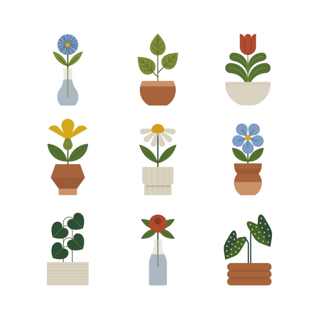 plant illustrations