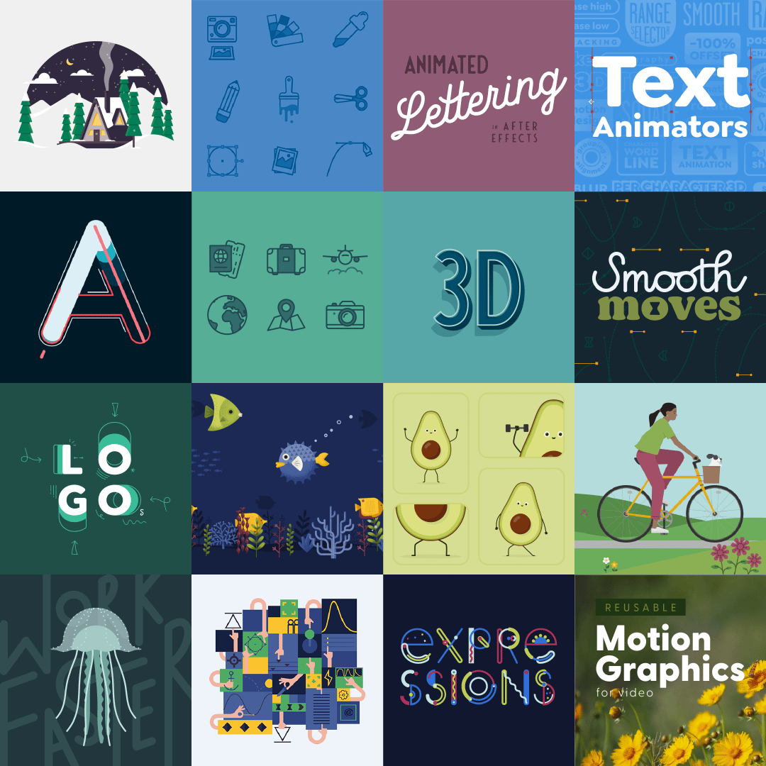 motion design classes