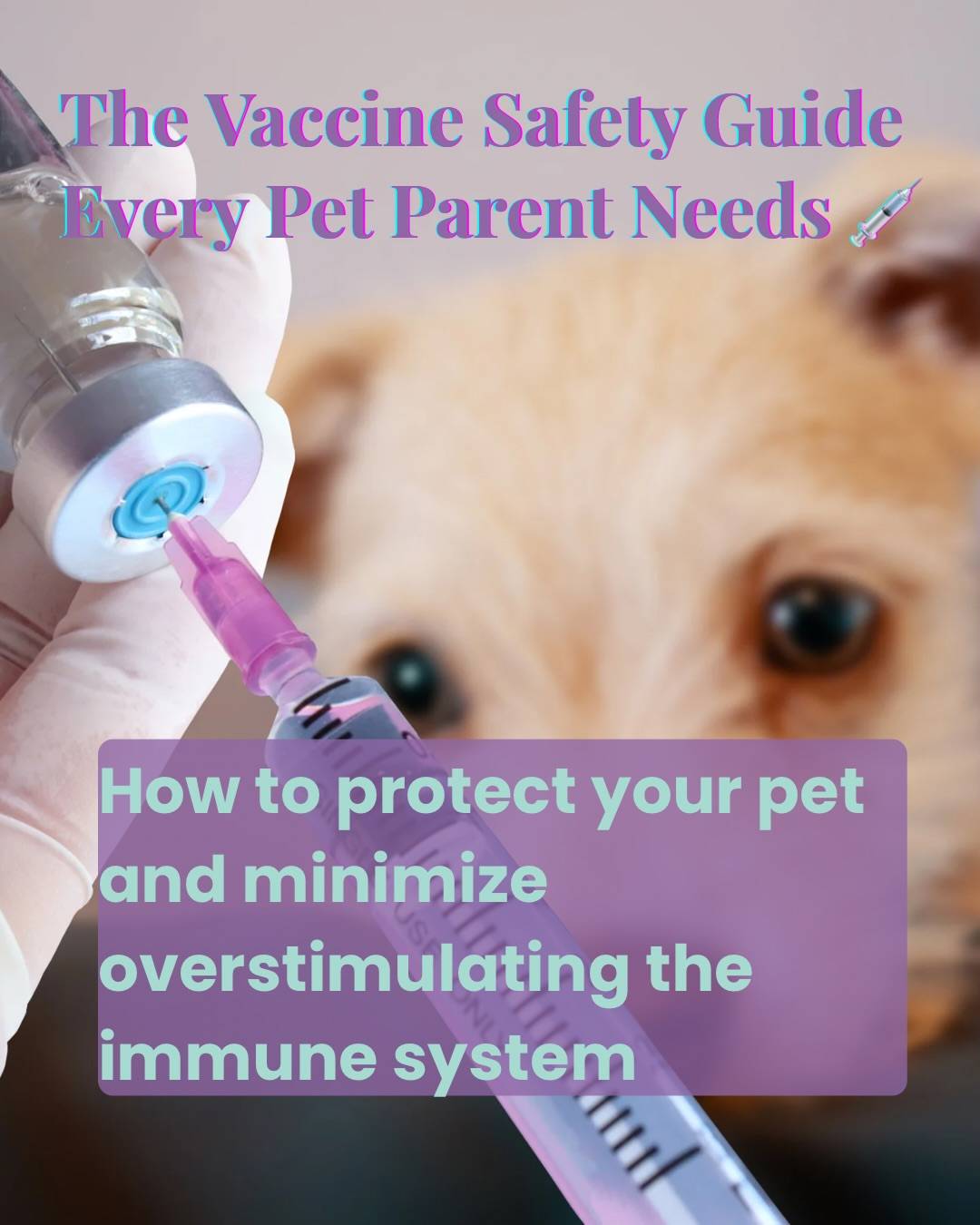 Pet parents are taught that vaccination is simple, but immunity doesn’t always follow the rules we expect.

Vaccination schedules and dosages should always be personalized because your pet’s age, size, and health conditions really do matter 🐶🐈‍⬛

Comment E58 on this post and we’ll send you our vaccine-focused podcast episode with Dr. Laurie Coger, where we dive deep into discussions of vaccines, flea & tick meds, and heartworm prevention 🎧✨👇