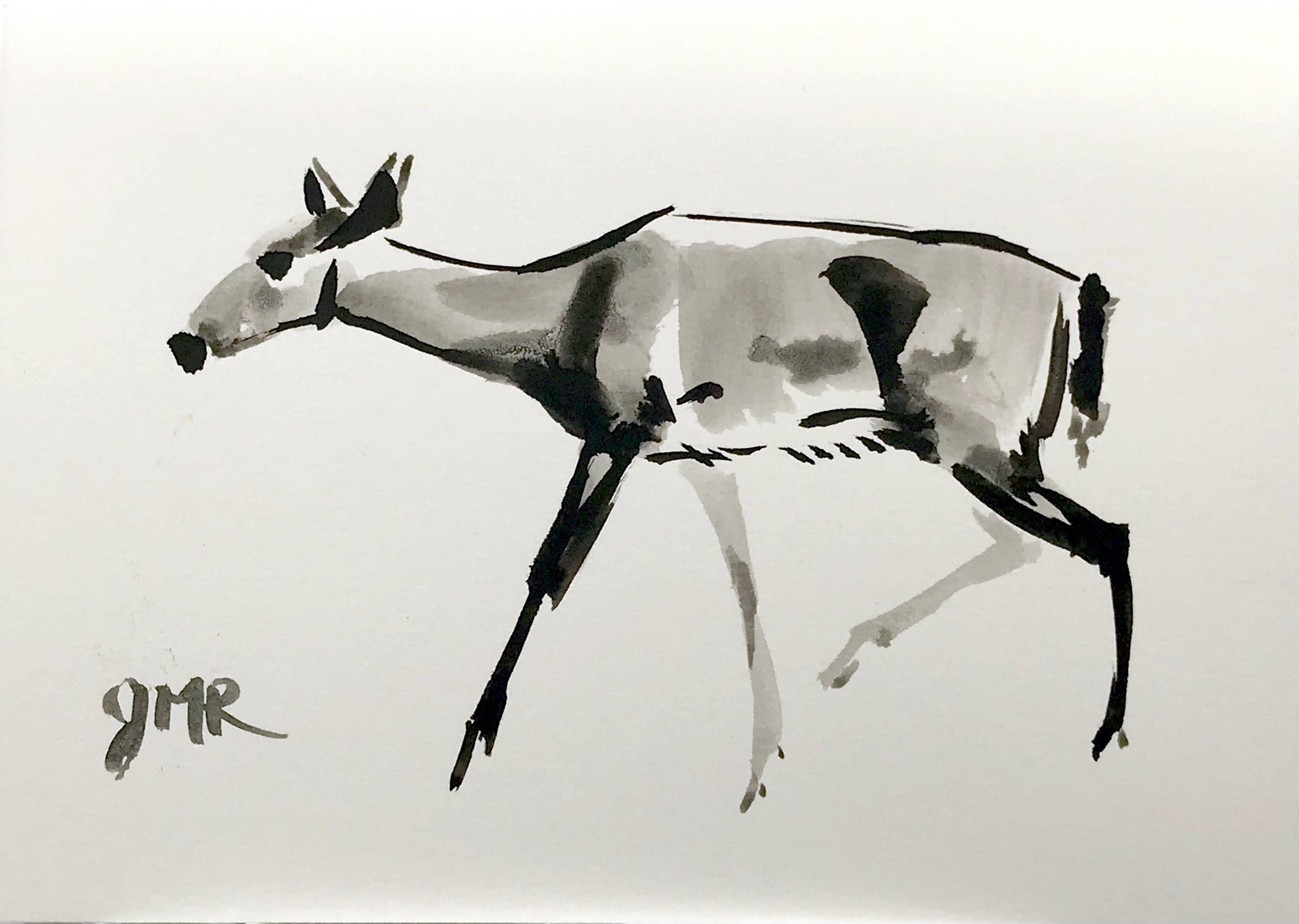 ink sketch of a deer