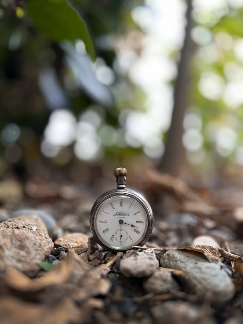 Antique pocket watch resting on forest floor
