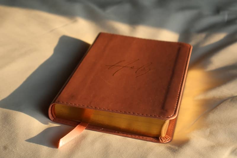 A closed brown leather-bound book with golden pages.