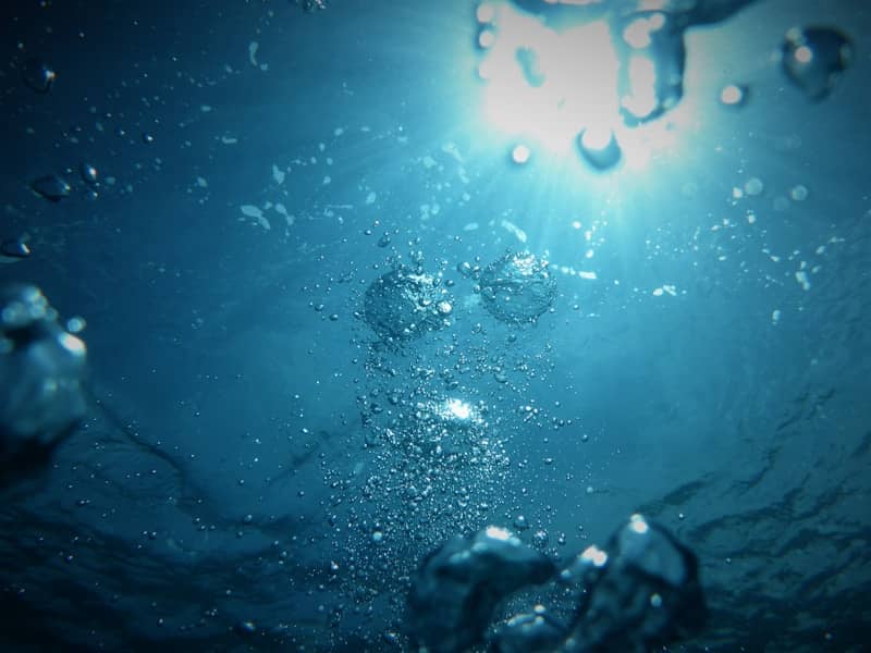 bubbles going upwards on a body of water