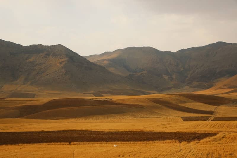 Golden rolling hills with mountains in background