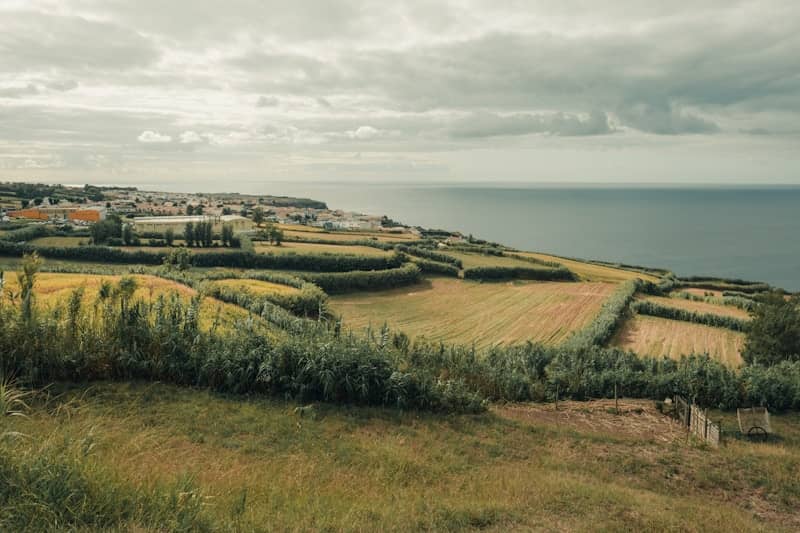 Coastal village with patchwork fields and ocean view.