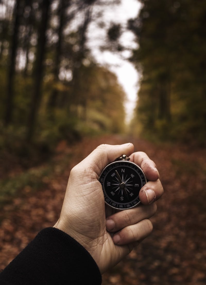 Compass on a wooded path