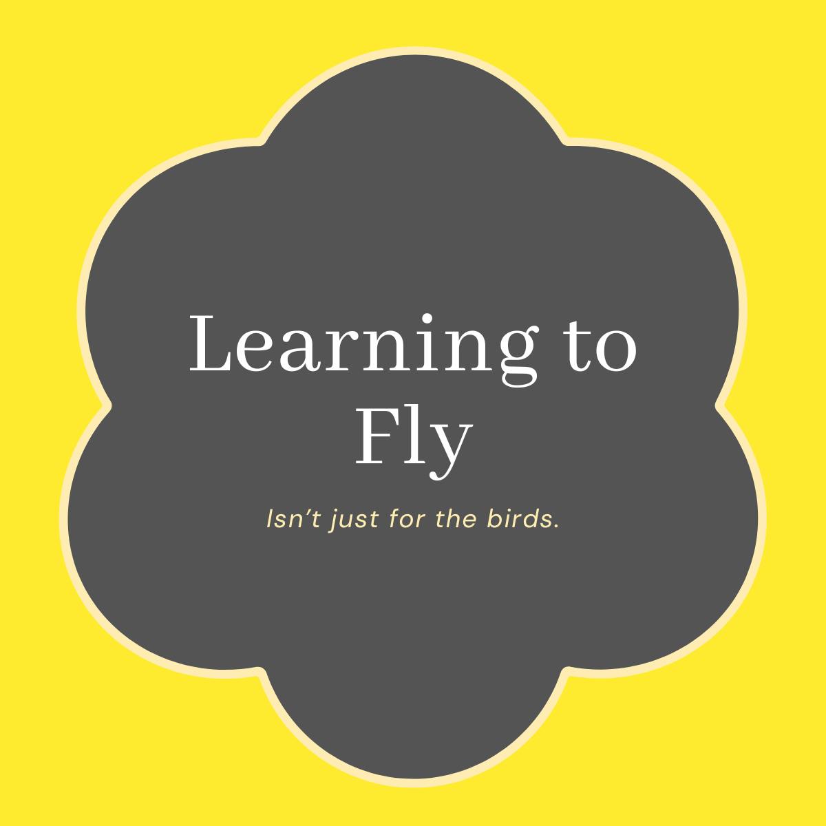 Learning to Fly