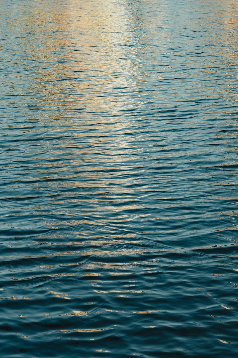 Blue water surface with ripples and light reflections.