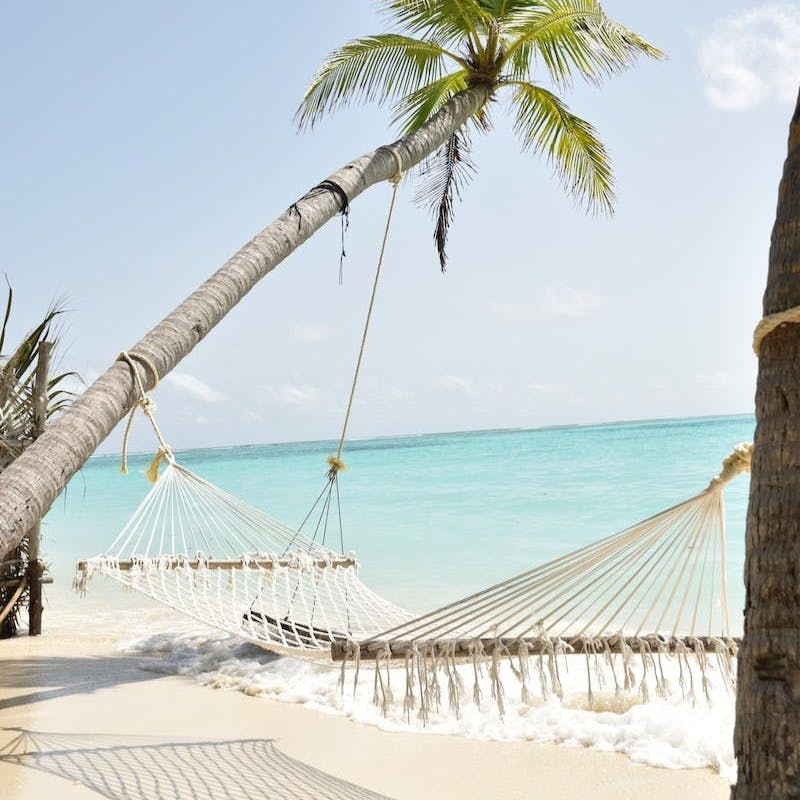 coconut palm tree and hammock by the sea during daytime