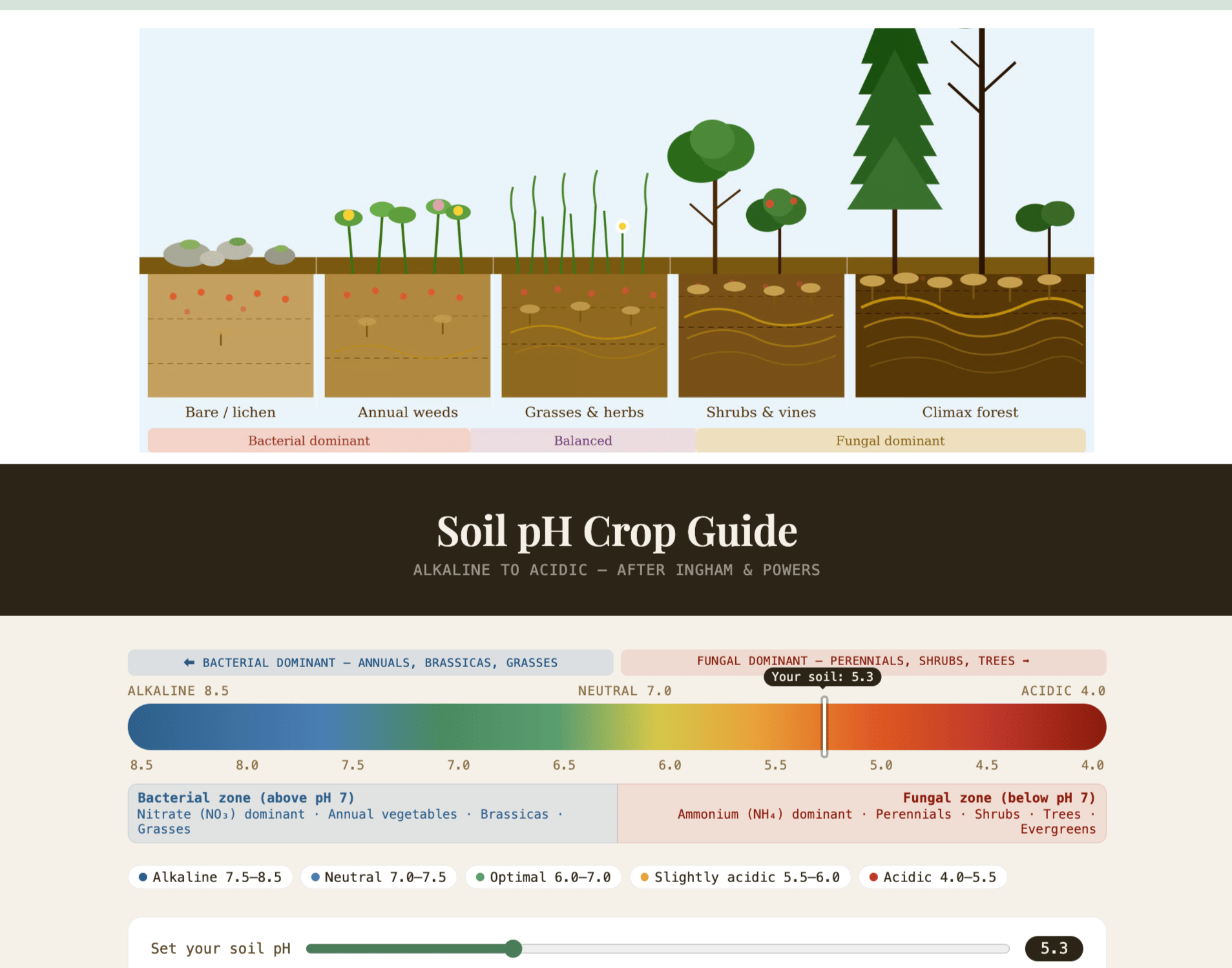 Soil pH