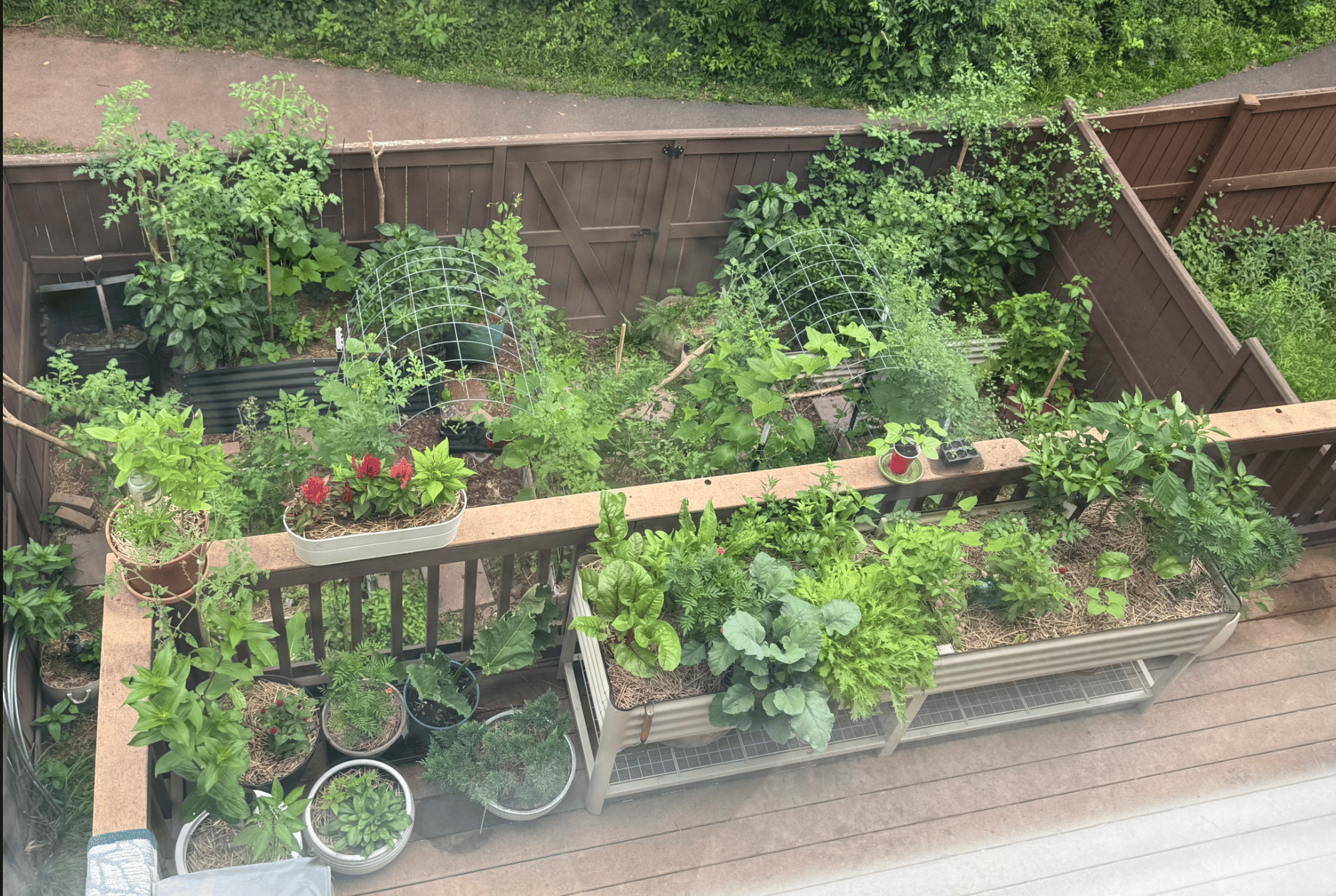 Lindsey's Garden