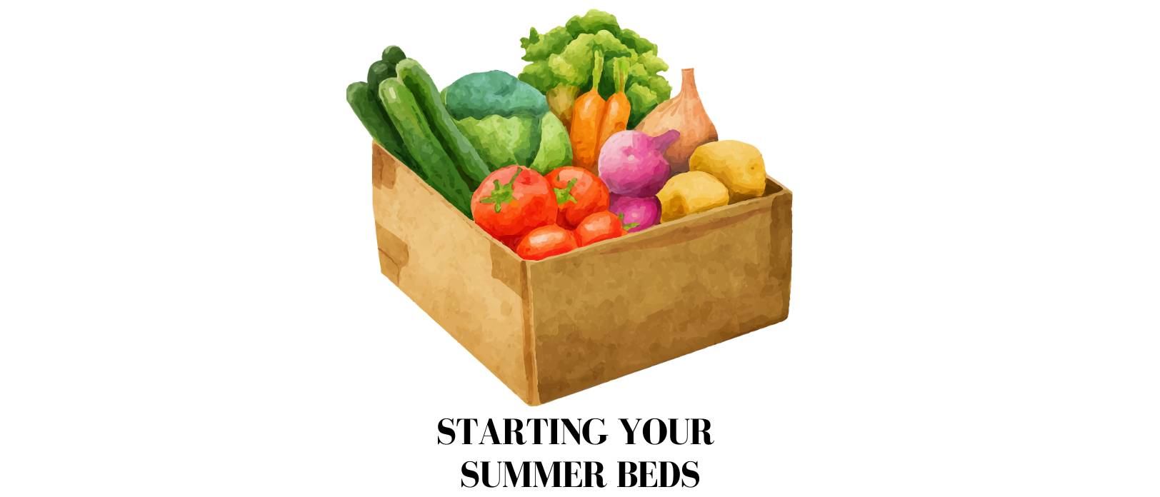 Start your summer beds