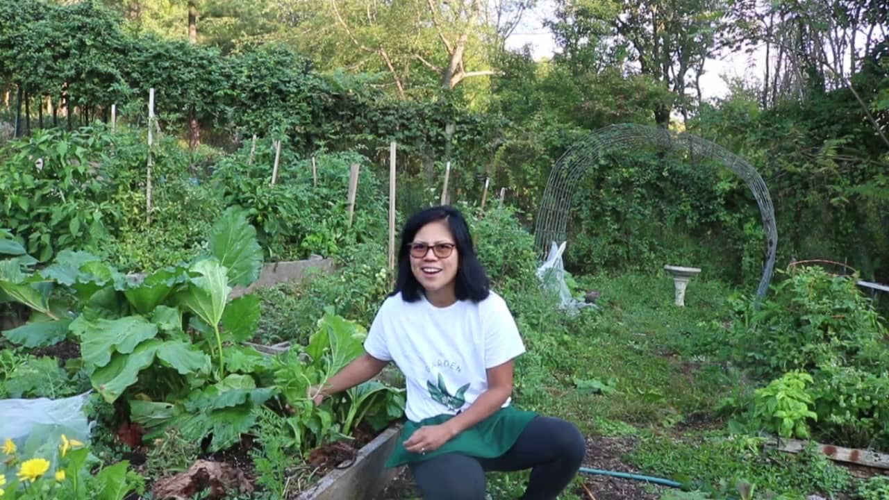 Live Q&A from Bethany Farm