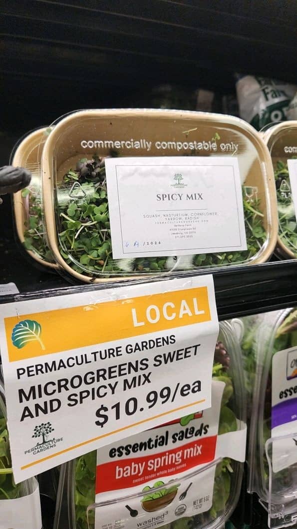 micogreens