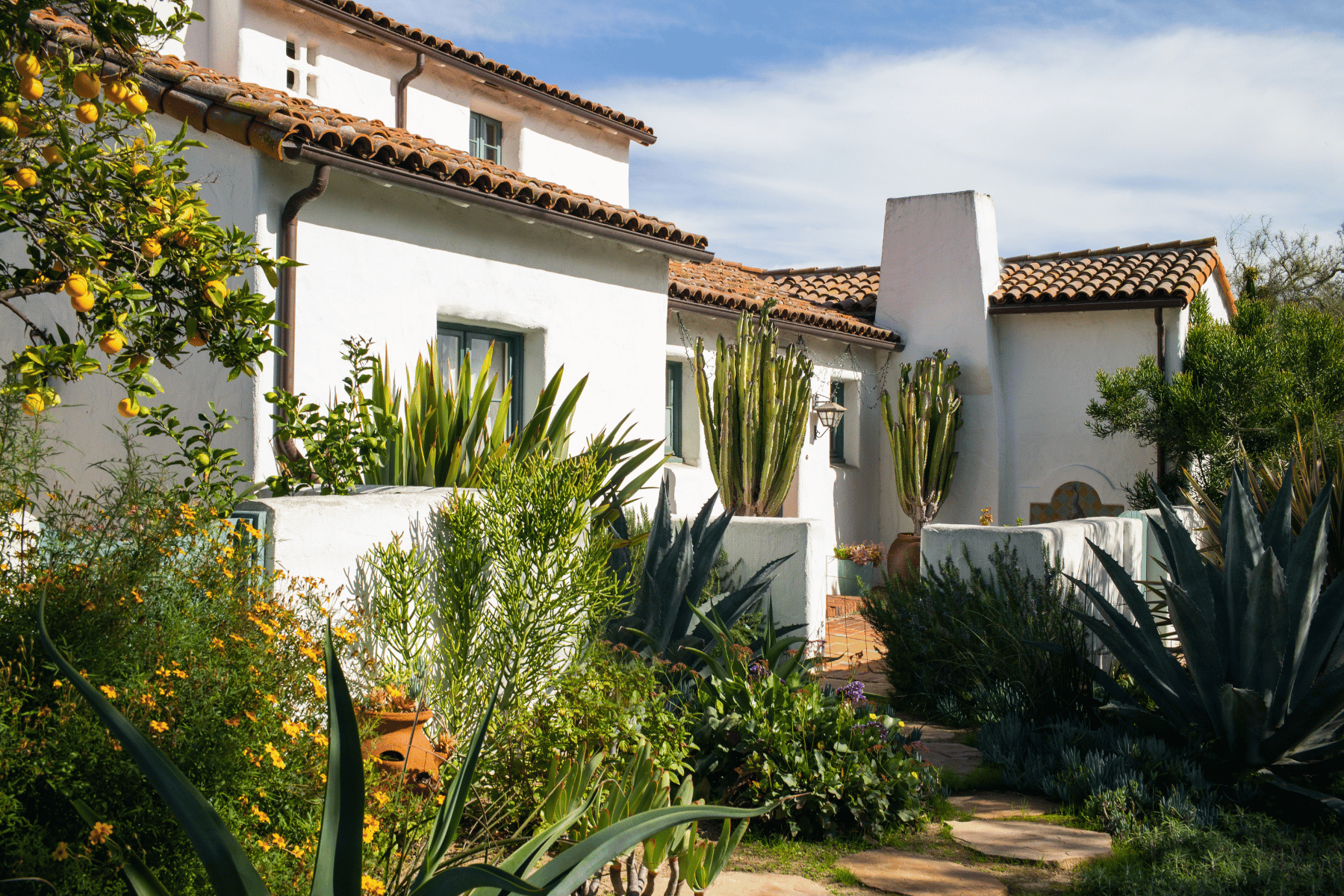 California Gardening