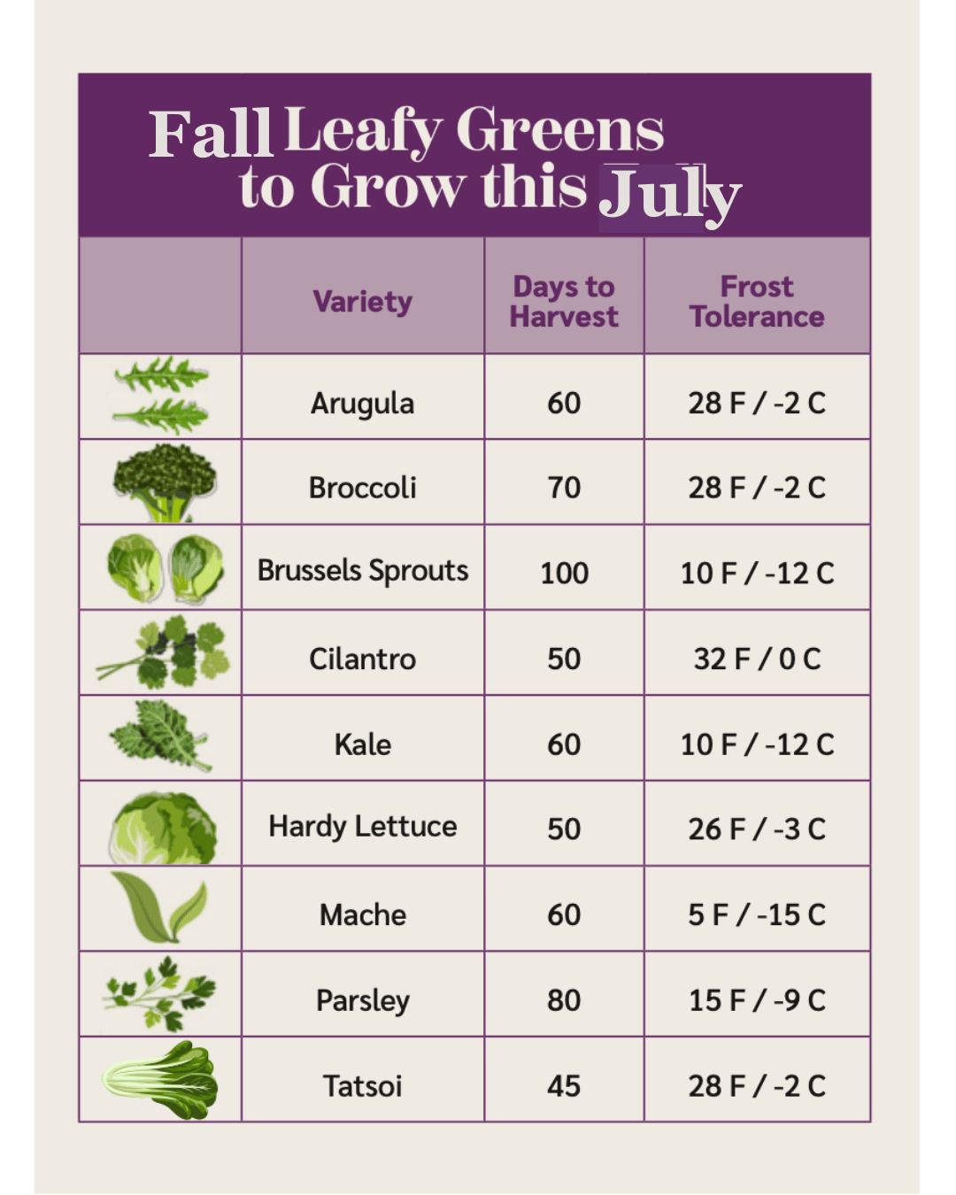 What to grow in July