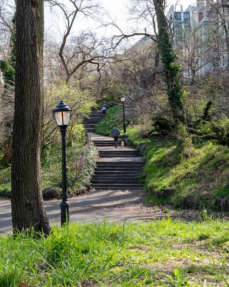 a street light sitting on the side of a lush green hillside